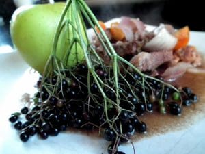 Elderberry Beef Stew Recipe