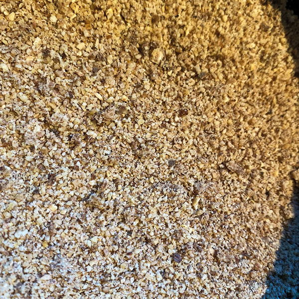 Wild Food Recipes Totally Wild UK