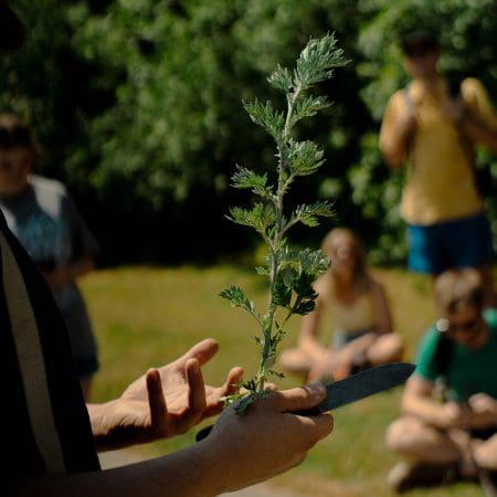 Ticket: Auto Draft 01/11/2024 - 01/11/2024