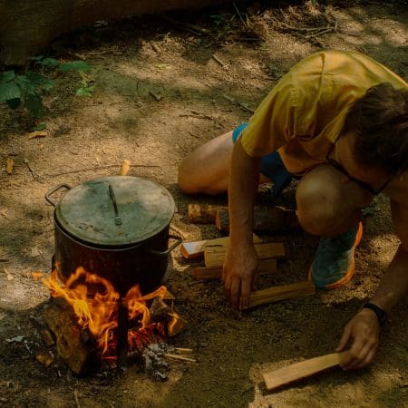 Ticket: Forage and Cookery Course in Sussex 07/11/2024 - 07/11/2024