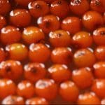 Sea Buckthorn Juice (500ml) - Image 2