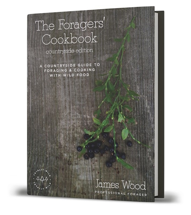 foraging books UK