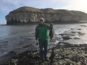 Kelp Seaweed (Laminaria species) Identification