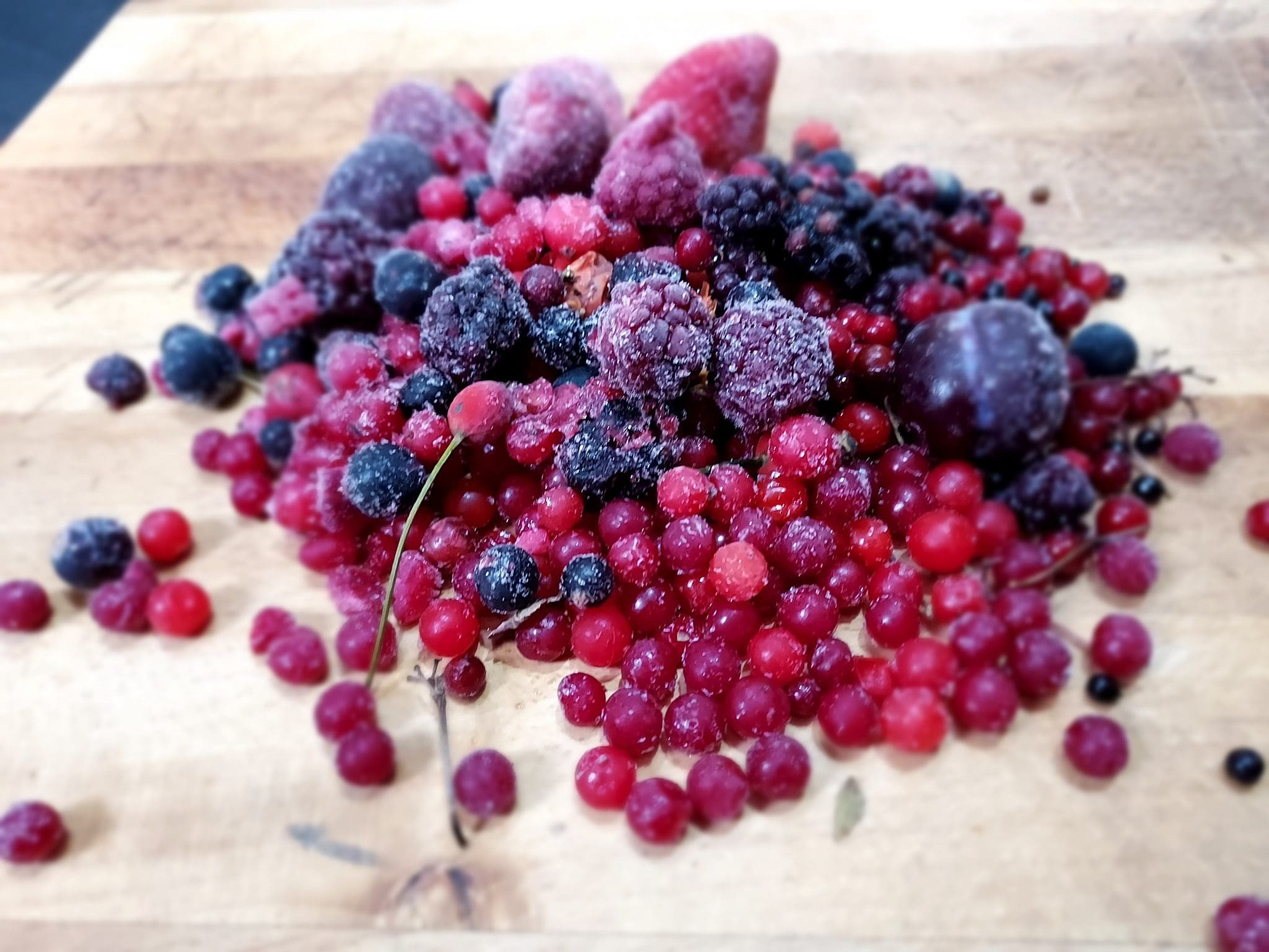 Foraging at the Coast - Totally Wild UK