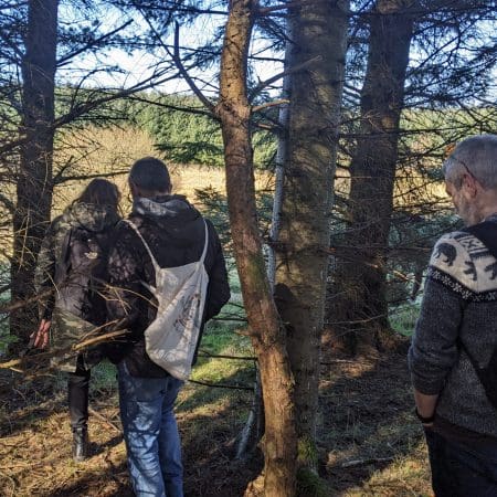 Ticket: Forage and Cook - Scotland 2022/10/01 - 2022/10/01