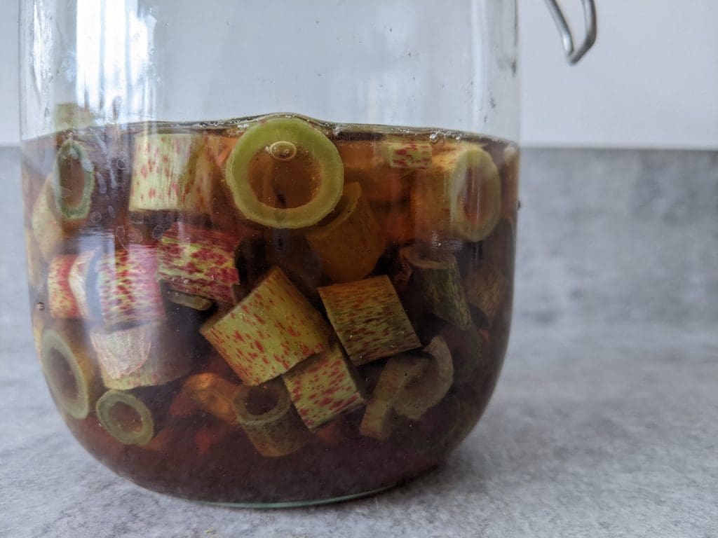 Japanese Knotweed and Apple Crumble