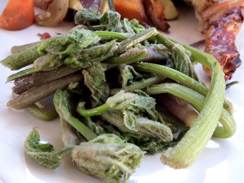 Steamed Hogweed Stems