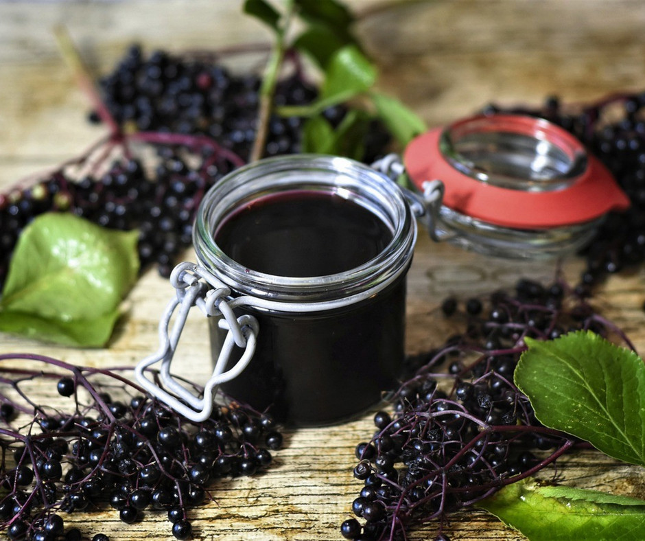 Elderberry Balsamic Glaze Totally Wild UK
