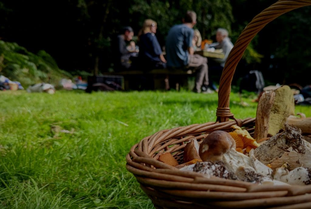 The Definition of Foraging: Its Evolutionary Importance