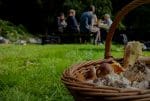 Wild Mushrooms in a basket