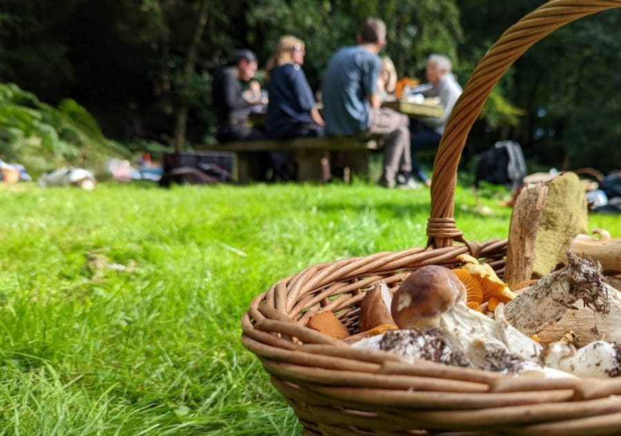 Ticket Forage and Cook Sussex 2023/03/03 2023/03/03