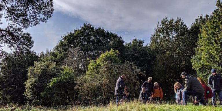 Group Foraging for Mushrooms on a Foraging Course
