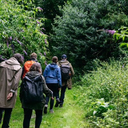 Ticket: Foraging Walk - London 2023/11/22 - 2023/11/22