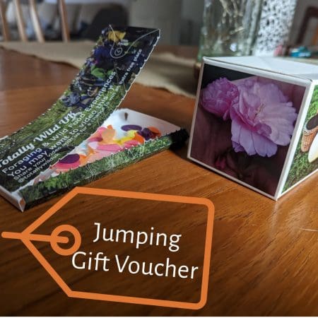 Add a Gift Pack - Jumping Voucher