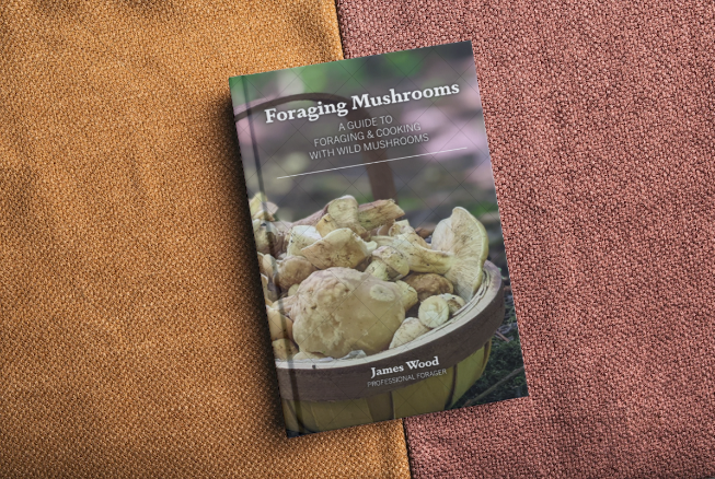 mushroom foraging book uk