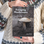 mushroom Foraging Book