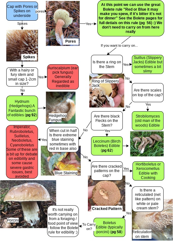 Mushroom Flow Chart