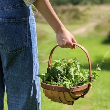 Ticket: Foraging Walk - Cheshire 2023/11/25 - 2023/11/25