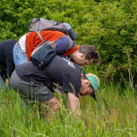 Ticket: Forage and Cookery Course in Wiltshire 06/11/2024 - 06/11/2024