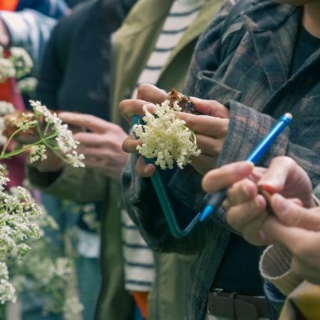 Ticket: Forage and Cook - Buckinghamshire 2024/05/03 - 2024/05/03