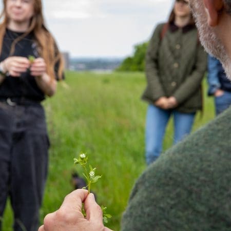 Ticket: Foraging Walk - Hertfordshire 2023/12/09 - 2023/12/09