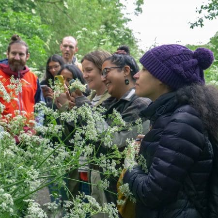 Ticket: Foraging Walk in Cheshire 11/10/2024 - 11/10/2024