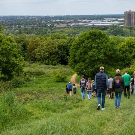 Ticket: Foraging Walk in Sussex 15/12/2024 - 15/12/2024