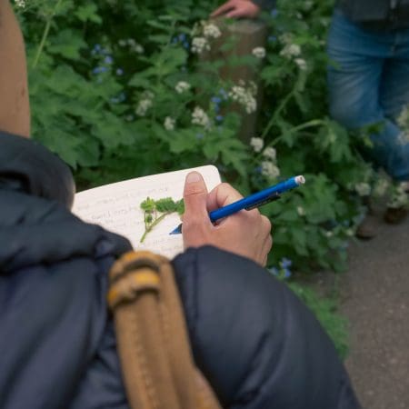 Ticket: Auto Draft 01/11/2024 - 01/11/2024