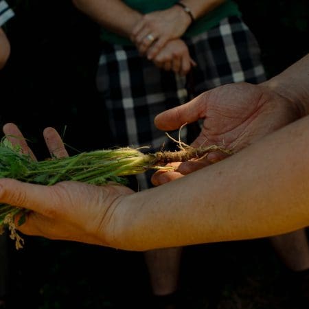 Ticket: Auto Draft 07/11/2024 - 07/11/2024