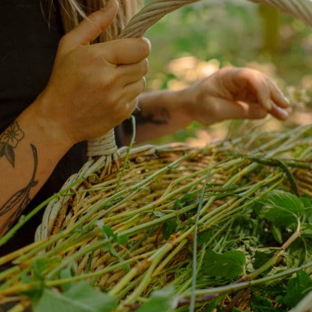 Ticket: Forage and Cook - Stafford  -