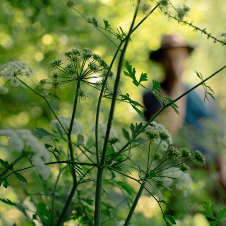 Ticket: Forage and Cook - Norfolk  -