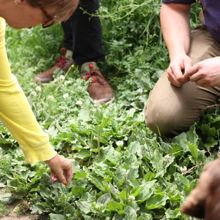 Ticket: Forage and Cook - Oxfordshire  -