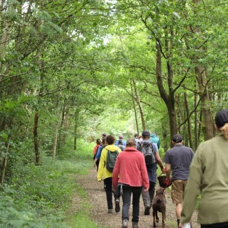 Ticket: Foraging Walk - Surrey 2024/05/03 - 2024/05/03