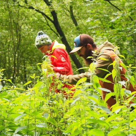 Ticket: Forage and Cook - Cheshire 2024/03/10 - 2024/03/10