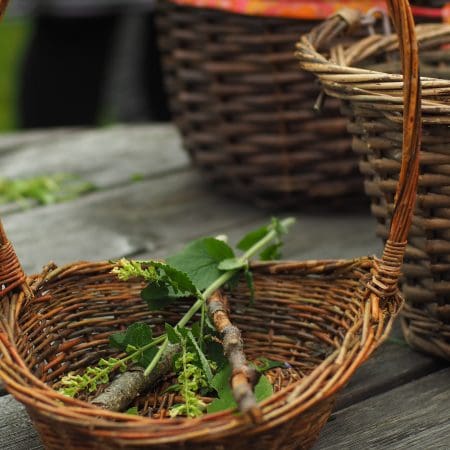 Ticket: Forage and Cook - Cambridgeshire  -