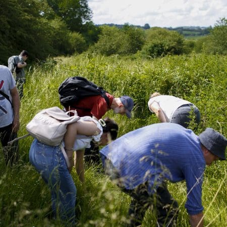 Ticket: Auto Draft 07/11/2024 - 07/11/2024