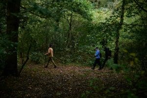 Advertising Image Al in woods