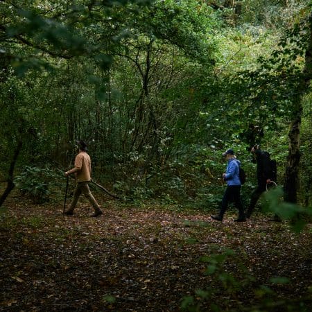 Ticket: Forage and Cook – London 14/05/2024 - 14/05/2024