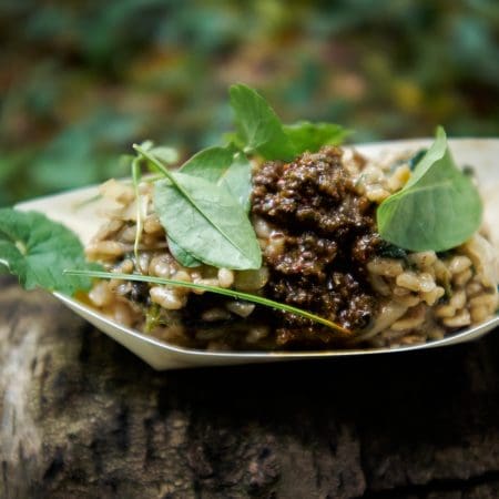 Ticket: Forage and Cookery Course in Surrey 06/11/2024 - 06/11/2024