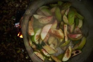 Advertising Image Al with apples in pan