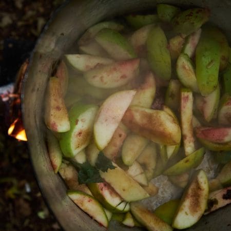 Ticket: Forage and Cookery Course in Surrey 06/11/2024 - 06/11/2024