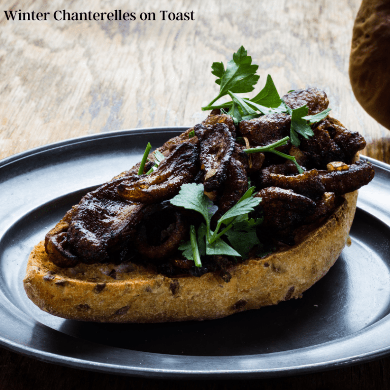 Winter Chanterelles on Toast