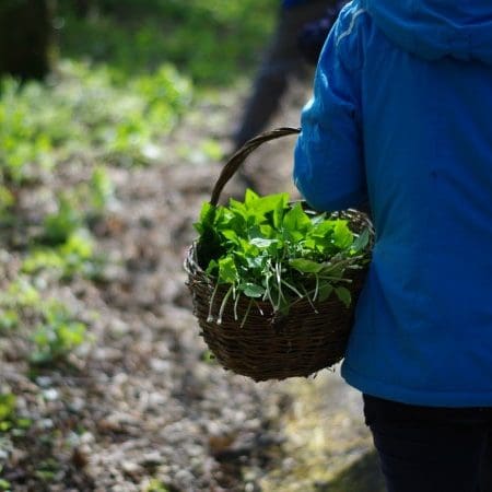 foraging with basket under arm