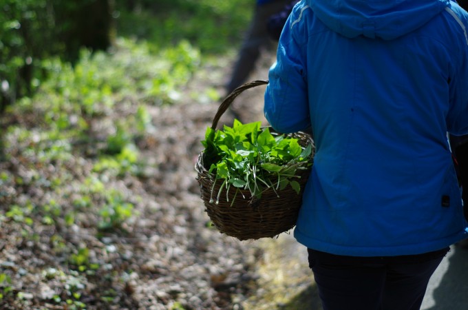 foraging with basket under arm