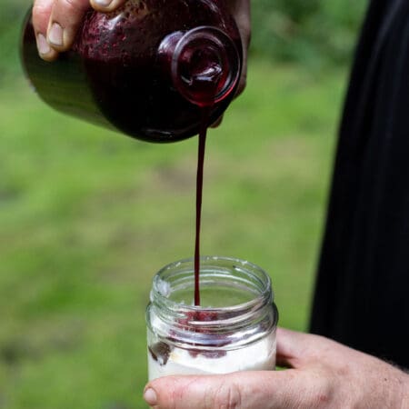 Ticket: Forage and Cookery Course in Sussex 07/11/2024 - 07/11/2024