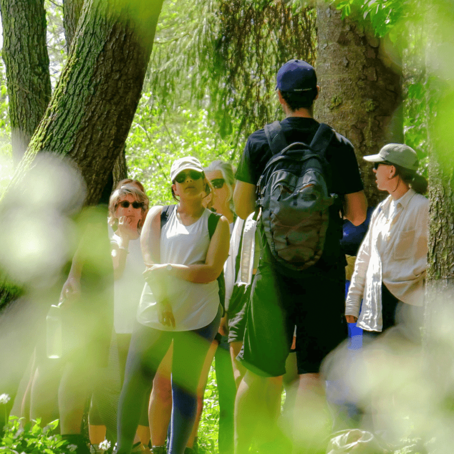 Foraging Course