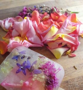 Elderflower Ice Lollies: My Favourite Summer Treat